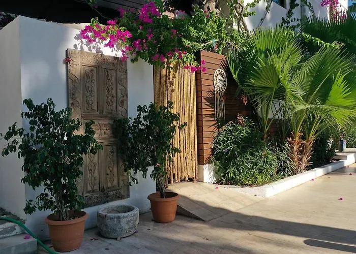 Selvi 골터크부쿠