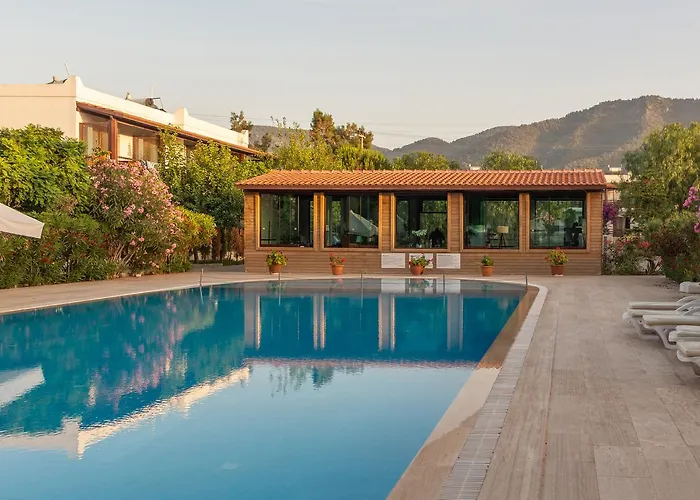 호텔 Selvi 골터크부쿠