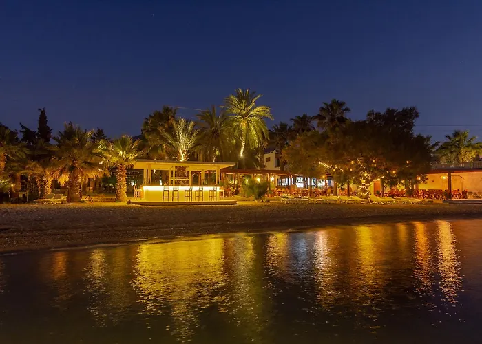 Selvi 골터크부쿠