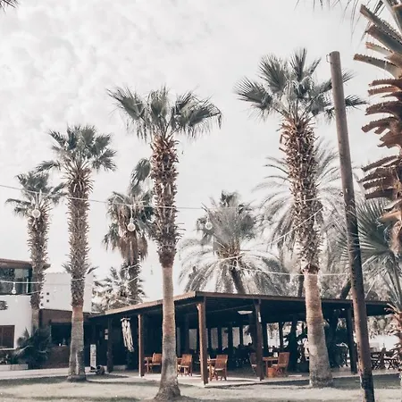 Selvi 3* Golturkbuku