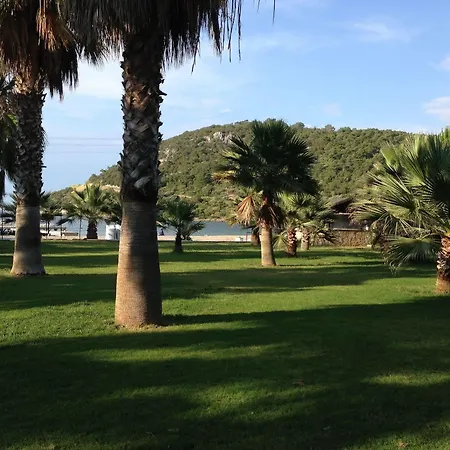 Hotel Selvi Golturkbuku